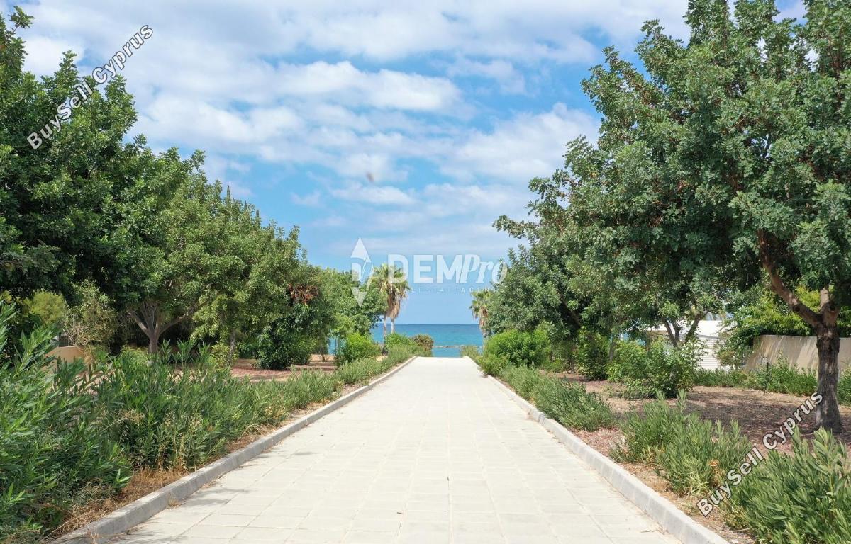 4 bedroom detached house for sale latsi paphos 7812190 image 12688325