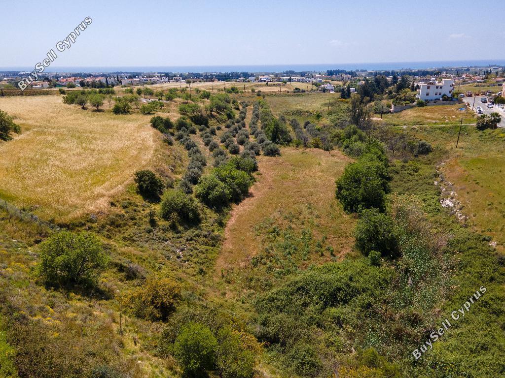 land for sale timi paphos 823190 image 15599236