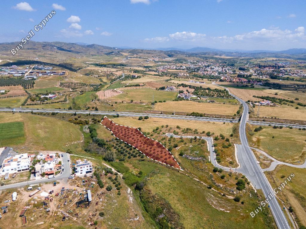land for sale timi paphos 823190 image 15599239