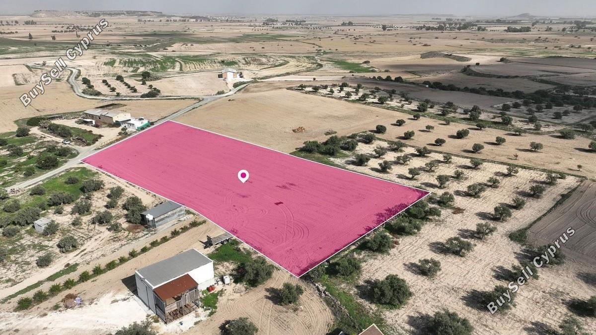 7024 SQM Land for sale in Athienou, Larnaca 15867197