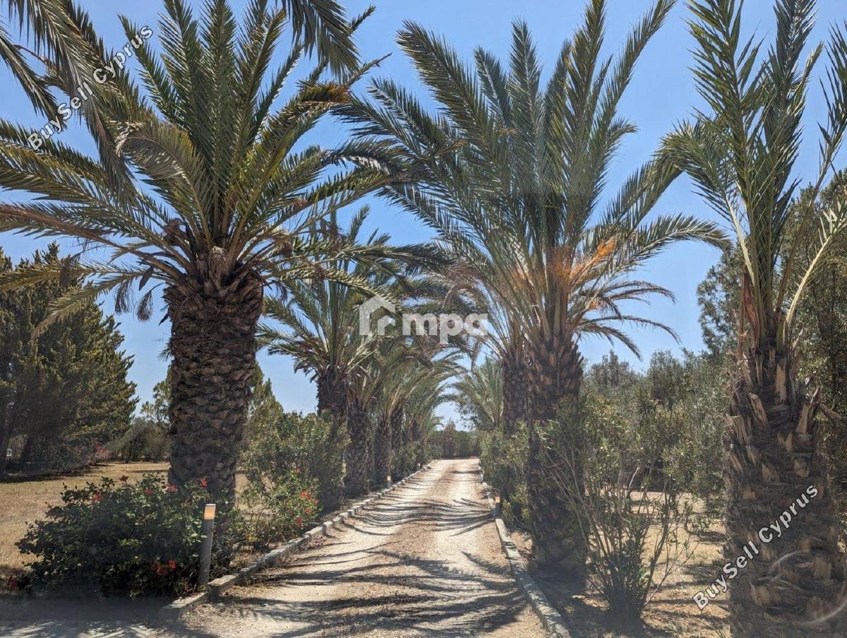 6 bedroom detached house for sale ergates nicosia 1729290 image 5540402