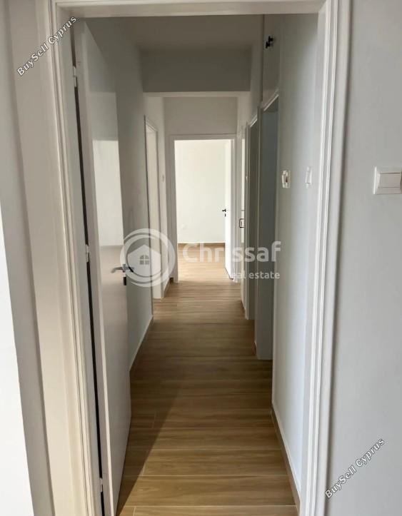 2 bedroom apartment for rent mackenzie larnaca 8525390 image 15429912