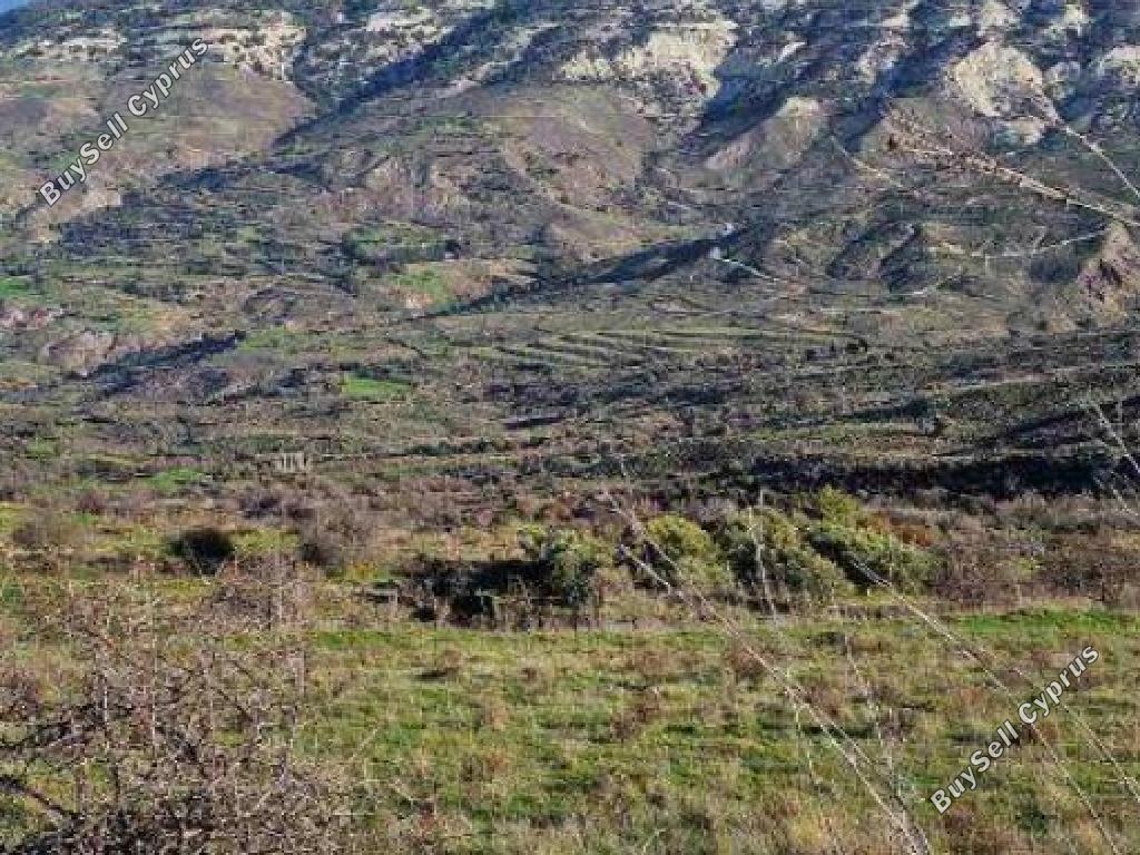 land for sale kelokedara paphos 8140390 image 15596261