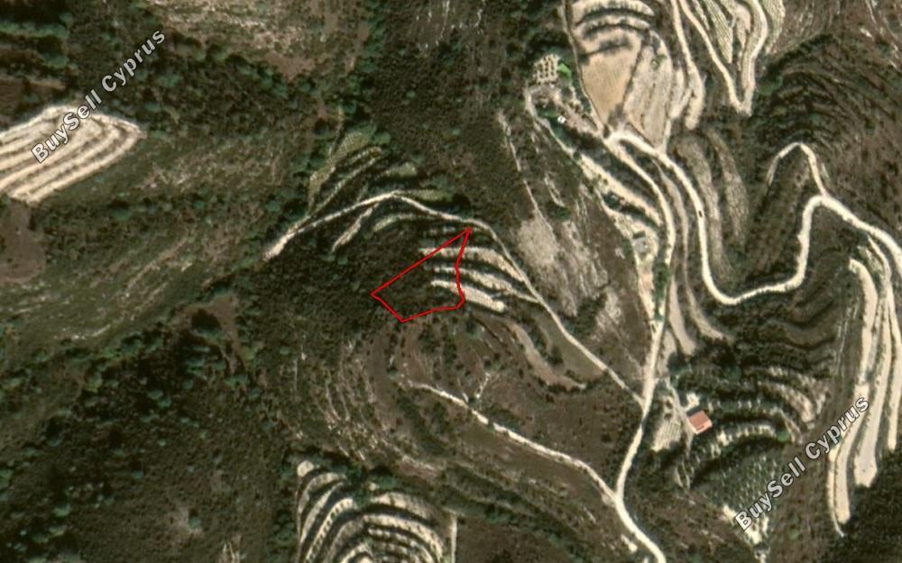 land for sale koili paphos 828390 image 2807279