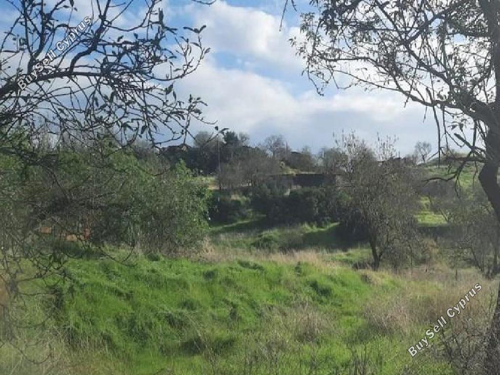 land for sale pigenia nicosia 8040390 image 15931518