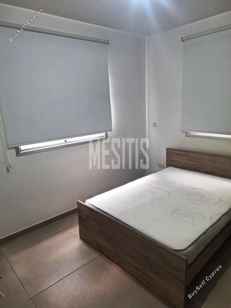 1 bedroom apartment for rent agios dometios nicosia 8875590 image 17243806