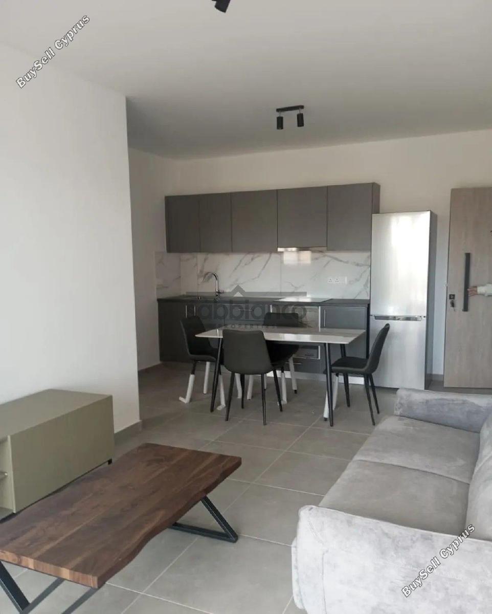 1 bedroom apartment for rent kaimakli nicosia 8749590 image 16477135