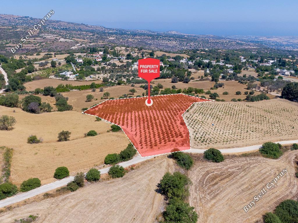 7693 SQM Land for sale in Pano Akourdalia, Paphos 16700720