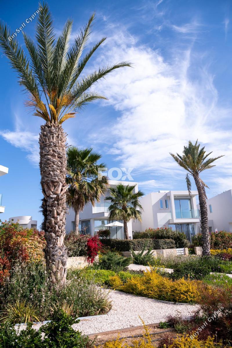 3 bedroom detached house for sale coral bay paphos 7816590 image 10694704