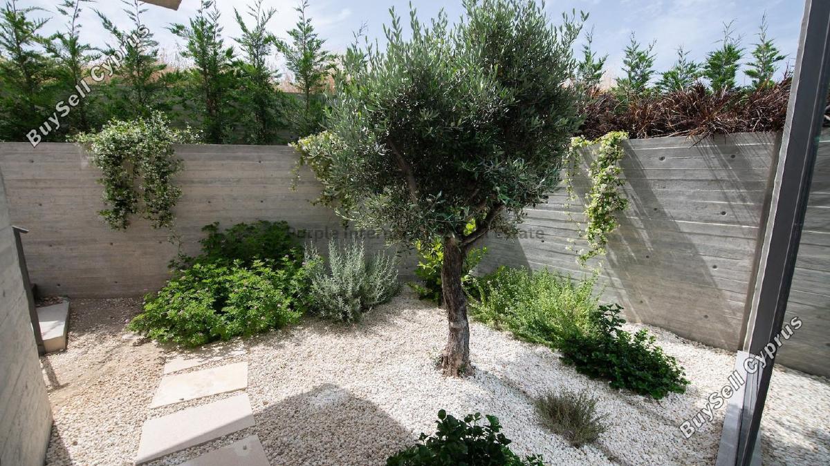 5 bedroom detached house for sale marathounta paphos 8913590 image 17521183