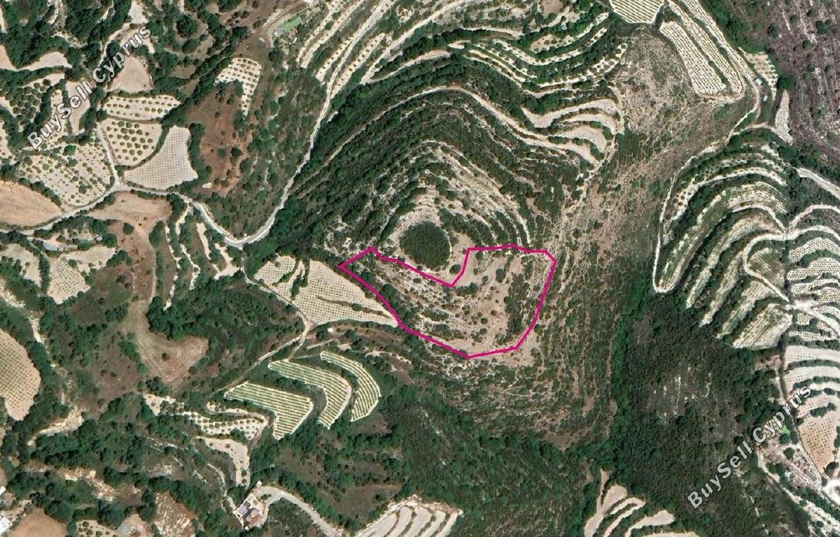 land for sale koili paphos 8237590 image 14231023