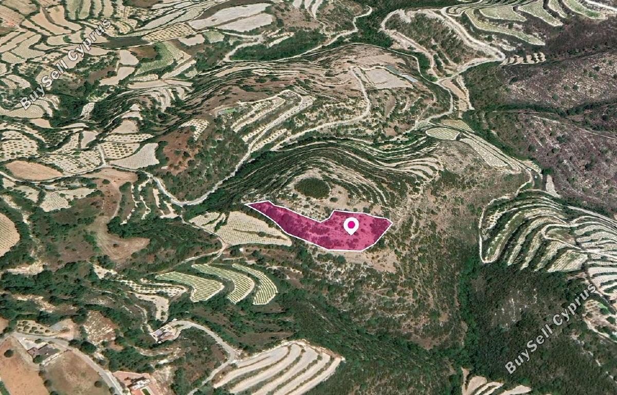 land for sale koili paphos 8237590 image 14231026
