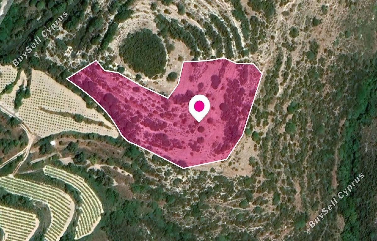 land for sale koili paphos 8237590 image 14231033