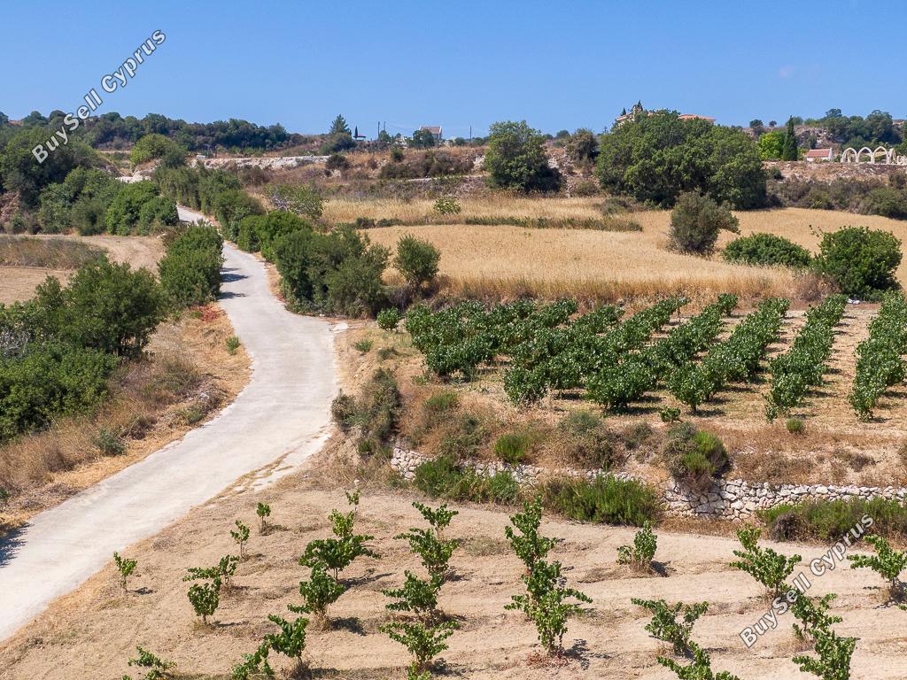 land for sale pano akourdalia paphos 7703590 image 16700716