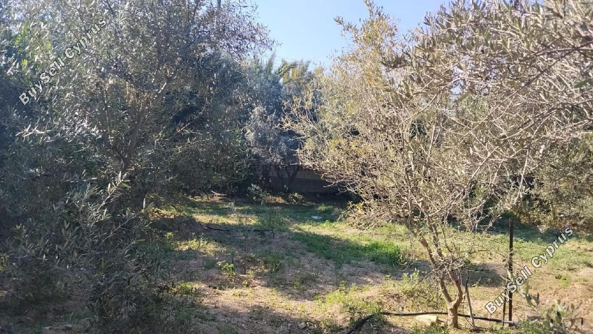 3 bedroom detached house for sale anglisides larnaca 8743690 image 16414620