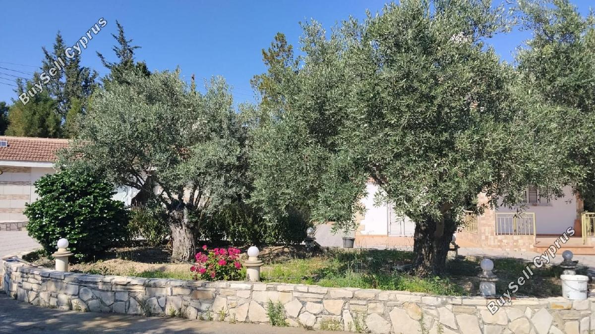 3 bedroom detached house for sale anglisides larnaca 8743690 image 16414623