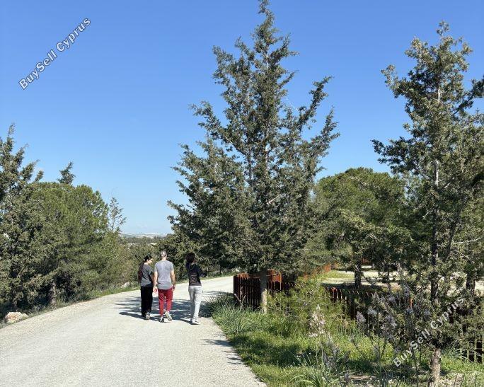 land for sale aradippou larnaca 1707790 image 10789396