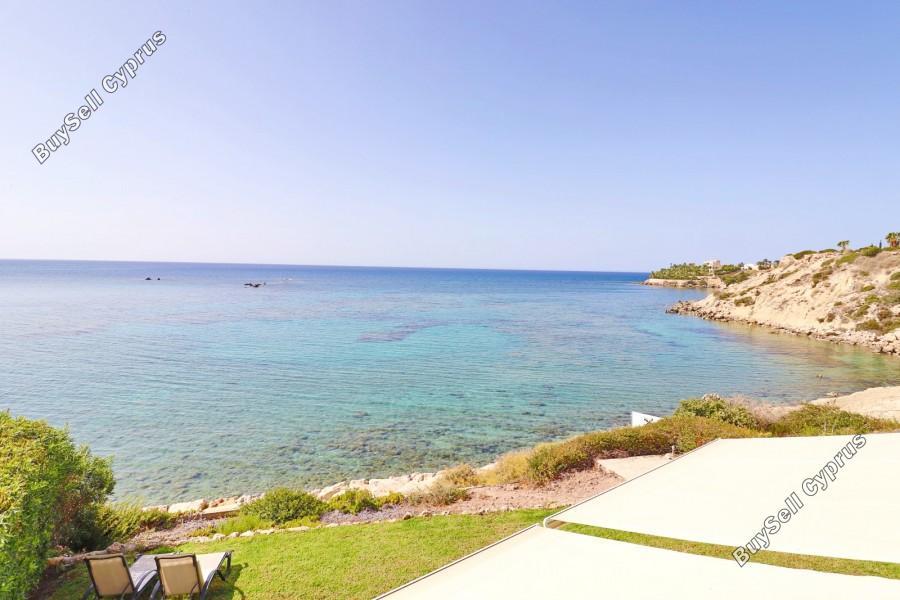 4 bedroom detached house for sale coral bay paphos 8529890 image 15458146