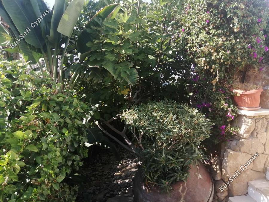 5 bedroom detached house for sale chlorakas paphos 1753890 image 14031158