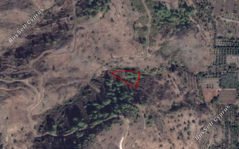 land for sale pigenia nicosia 842890 image 15664179