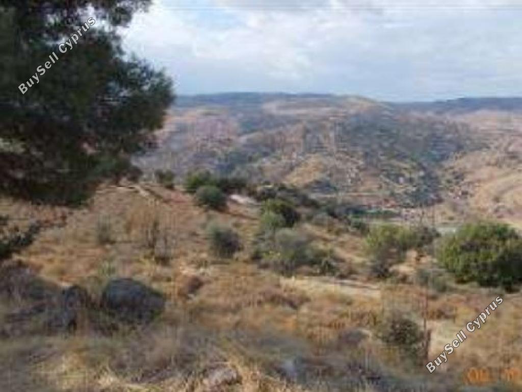 land for sale salamiou paphos 945890 image 15599315