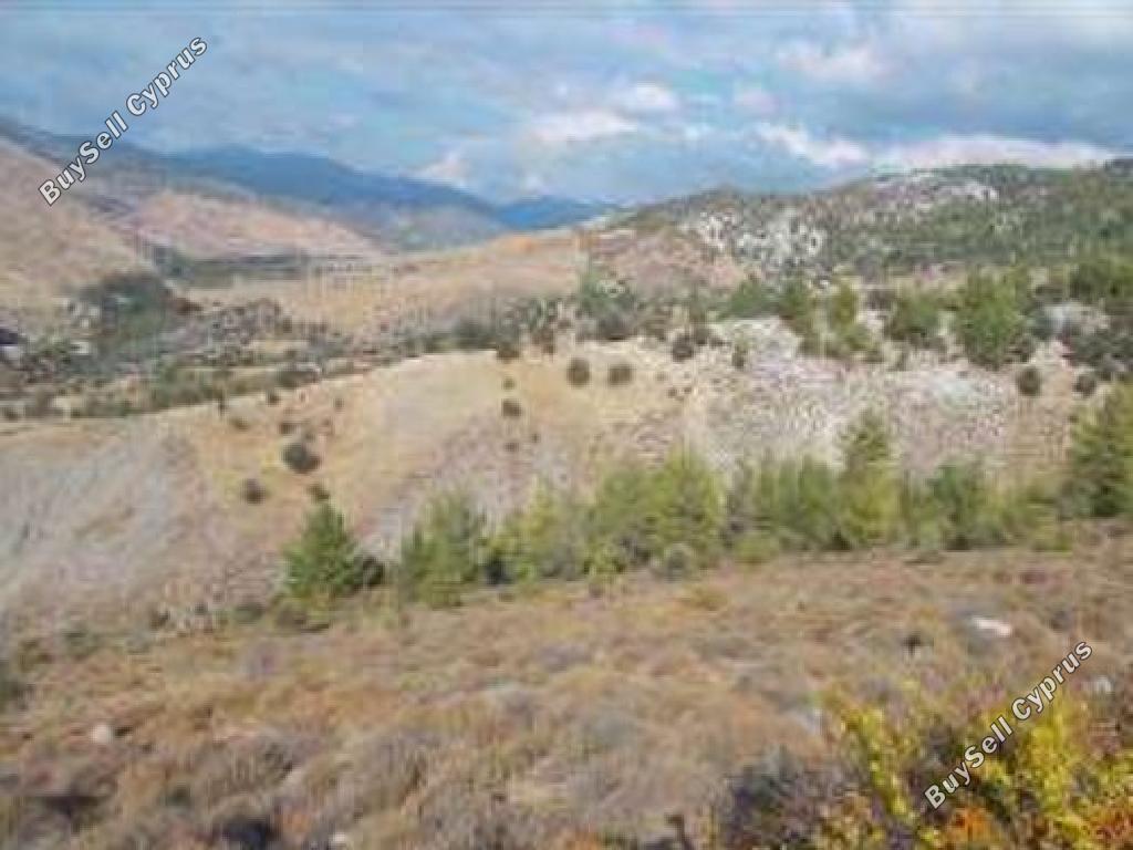 land for sale salamiou paphos 945890 image 15599317