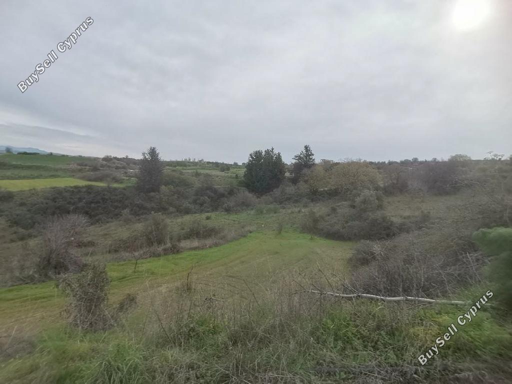 land for sale theletra paphos 8664890 image 17009082