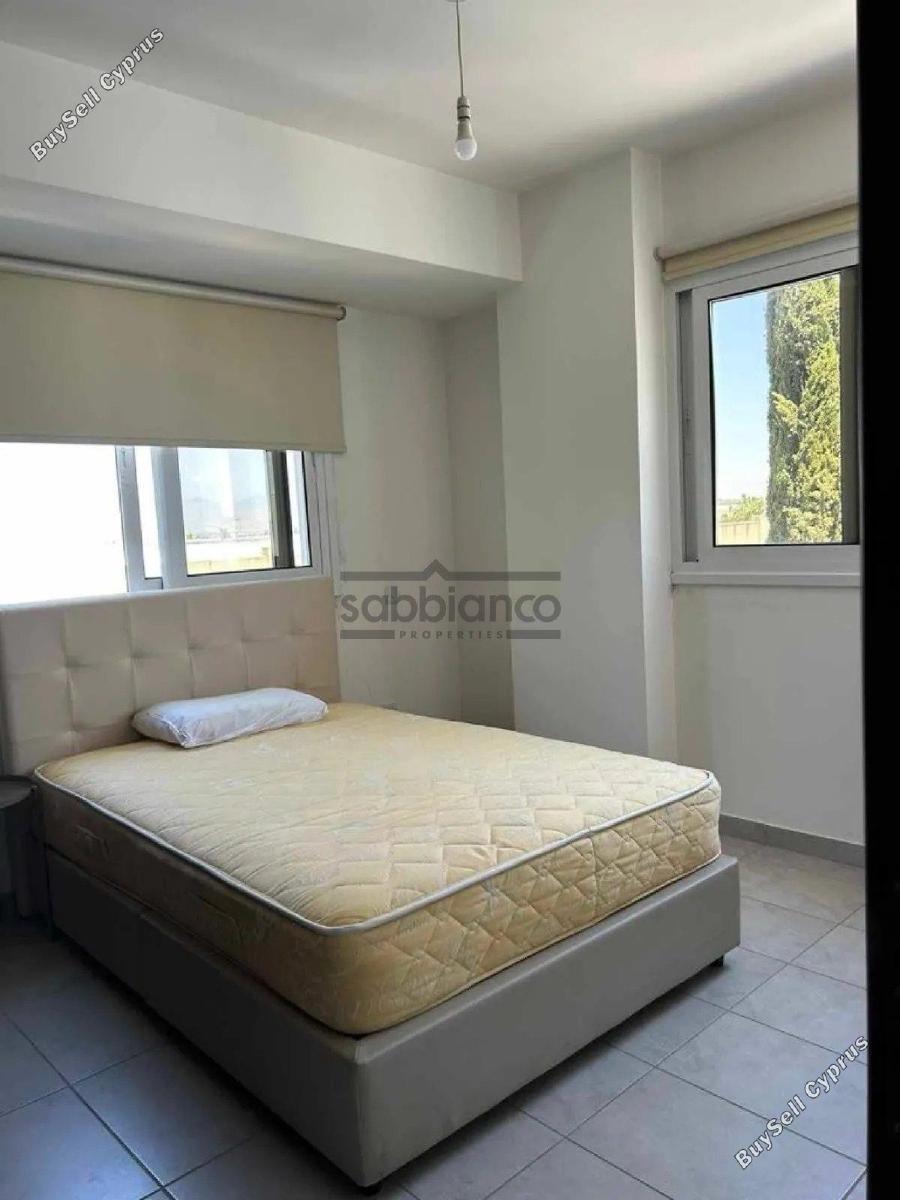 1 bedroom apartment for rent platy aglantzias nicosia 8735990 image 16345866