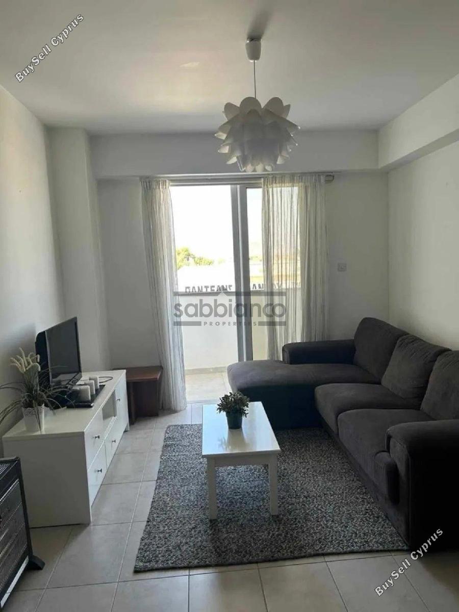 1 bedroom apartment for rent platy aglantzias nicosia 8735990 image 16345870
