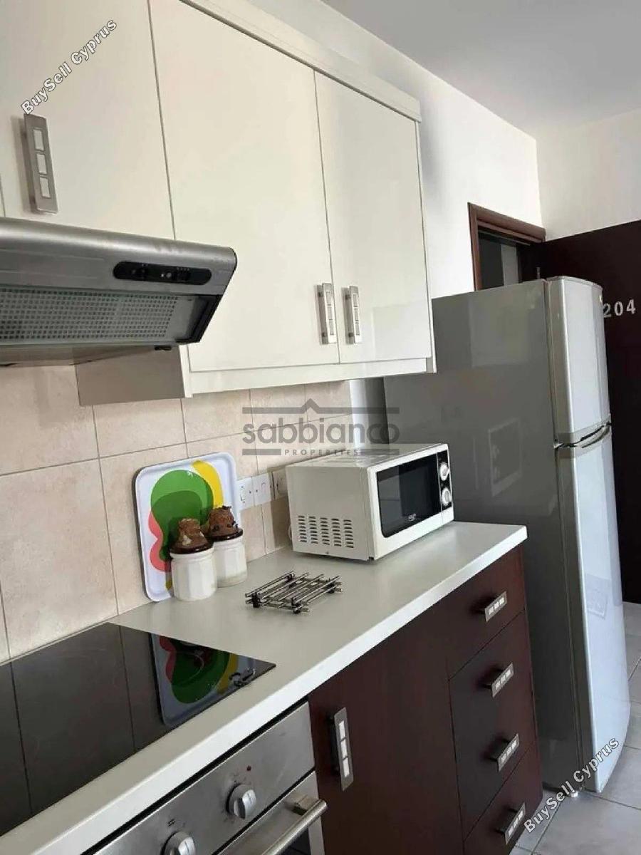 1 bedroom apartment for rent platy aglantzias nicosia 8735990 image 16345874