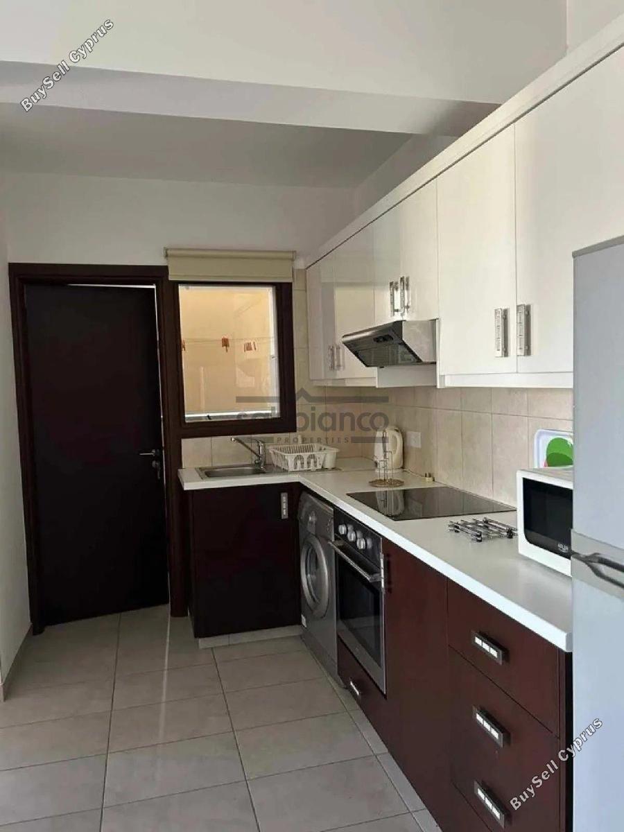 1 bedroom apartment for rent platy aglantzias nicosia 8735990 image 16345890