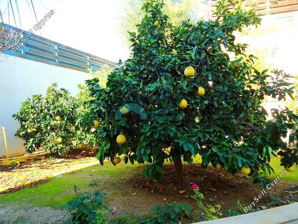 5 bedroom detached house for sale mouttagiaka limassol 1075990 image 5429376