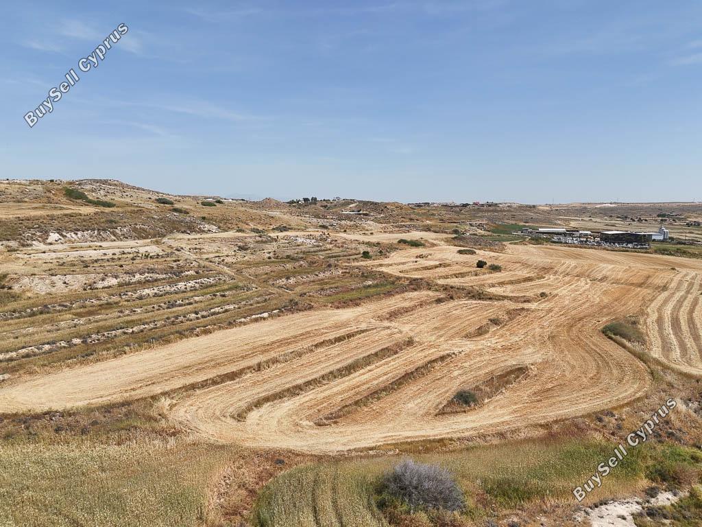 land for sale dali nicosia 1341990 image 3389558