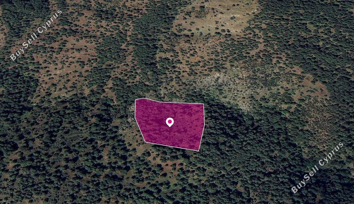 land for sale pigenia nicosia 1211990 image 3552528