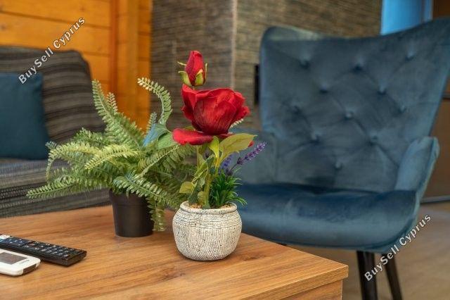 studio residential development for sale lofou limassol 1795990 image 5961560