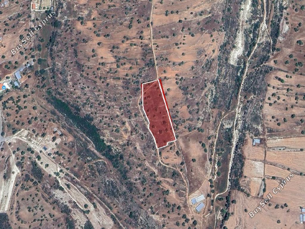 land for sale pachna limassol 8269101 image 13957625
