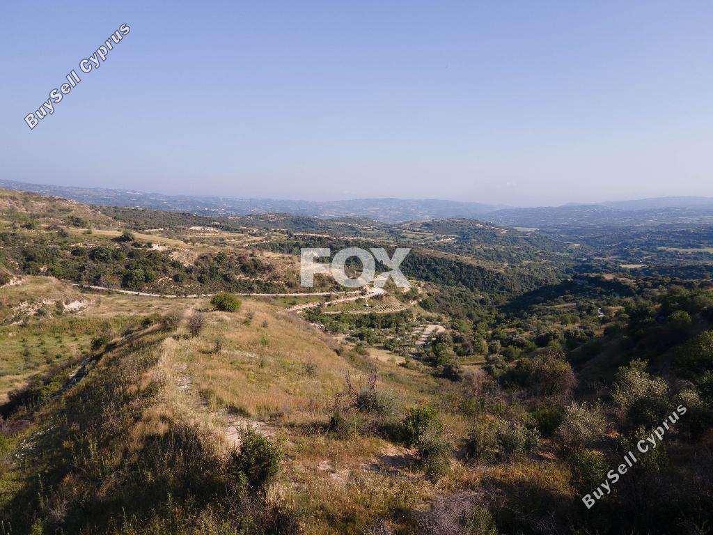 land for sale psathi paphos 8112101 image 13264256