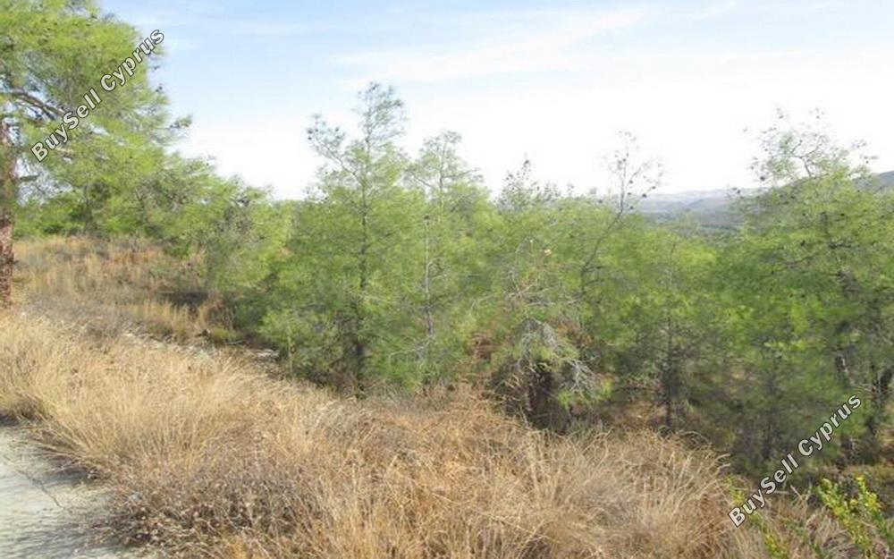 plot for sale kornos larnaca 831101 image 13826750