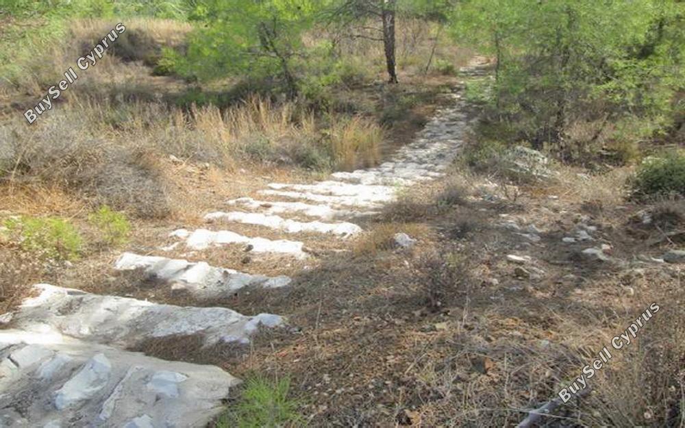 plot for sale kornos larnaca 831101 image 13826751