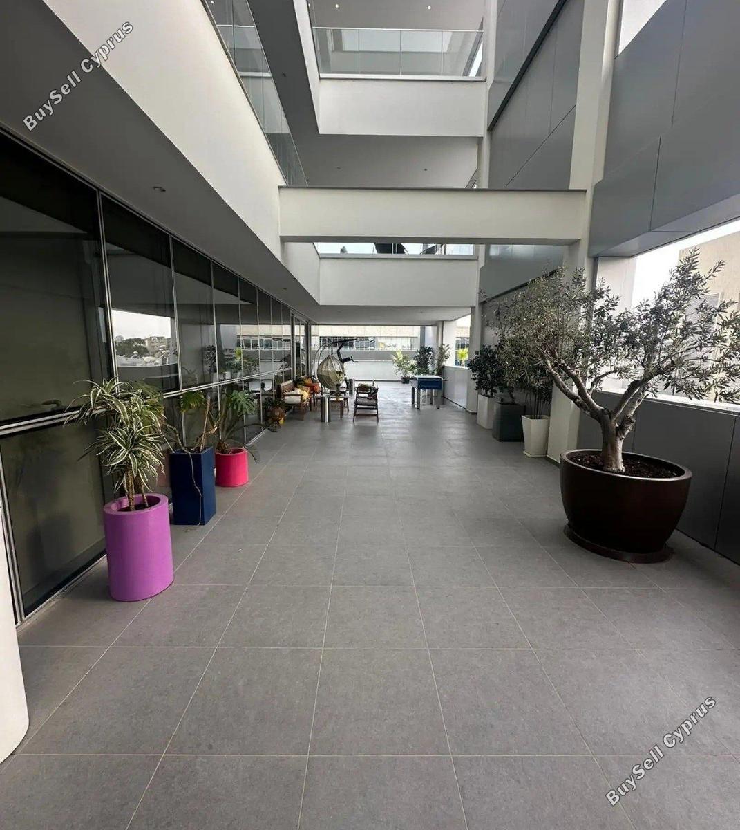 studio office for rent linopetra limassol 8560101 image 17262434