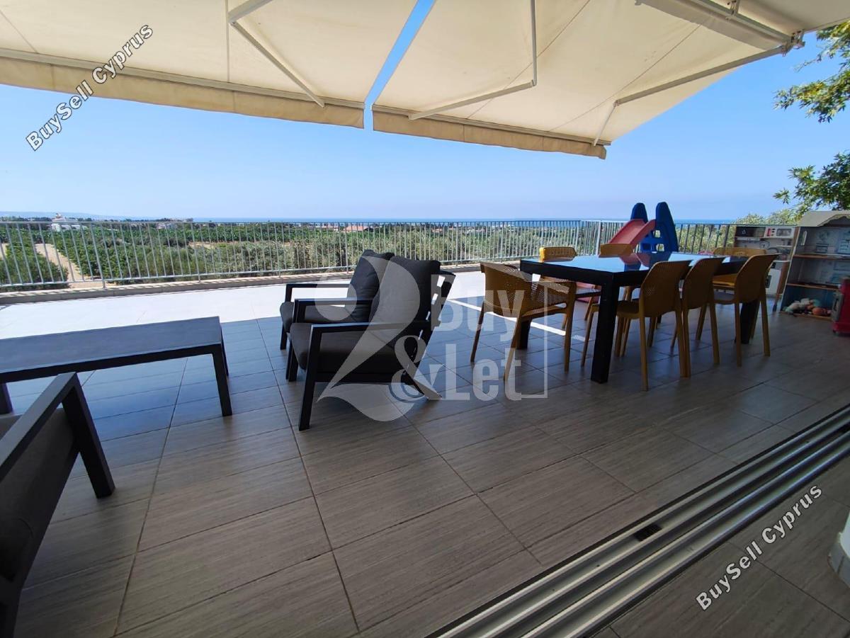 4 bedroom detached house for rent coral bay paphos 8914201 image 17450052