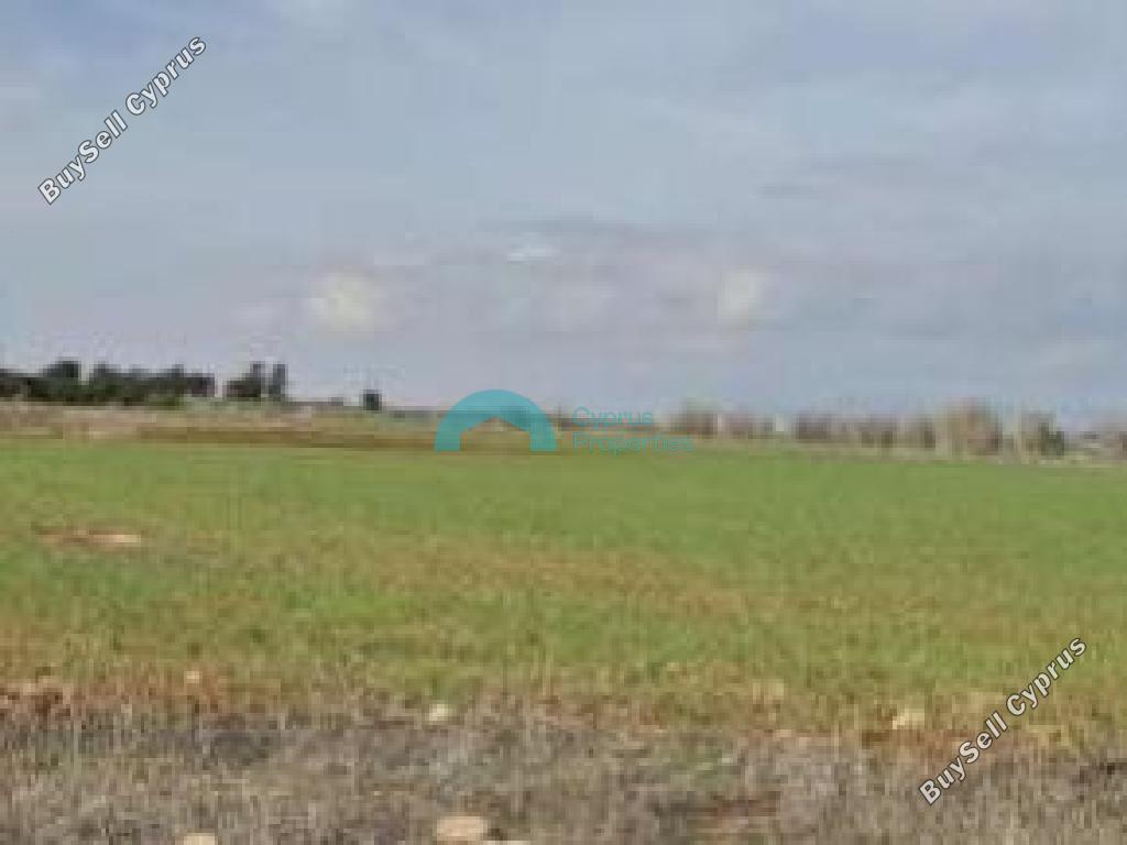 land for sale frenaros famagusta 8804201 image 16777807
