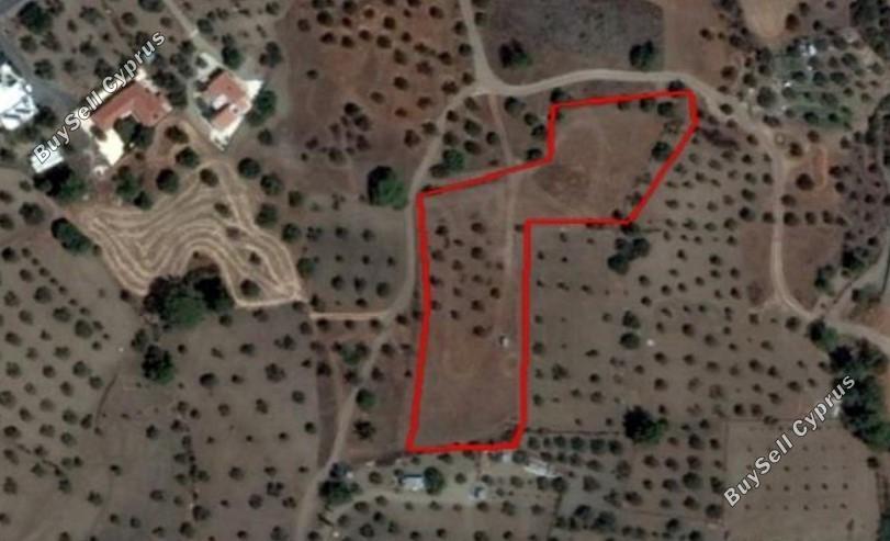 land for sale kornos larnaca 1932201 image 13943972