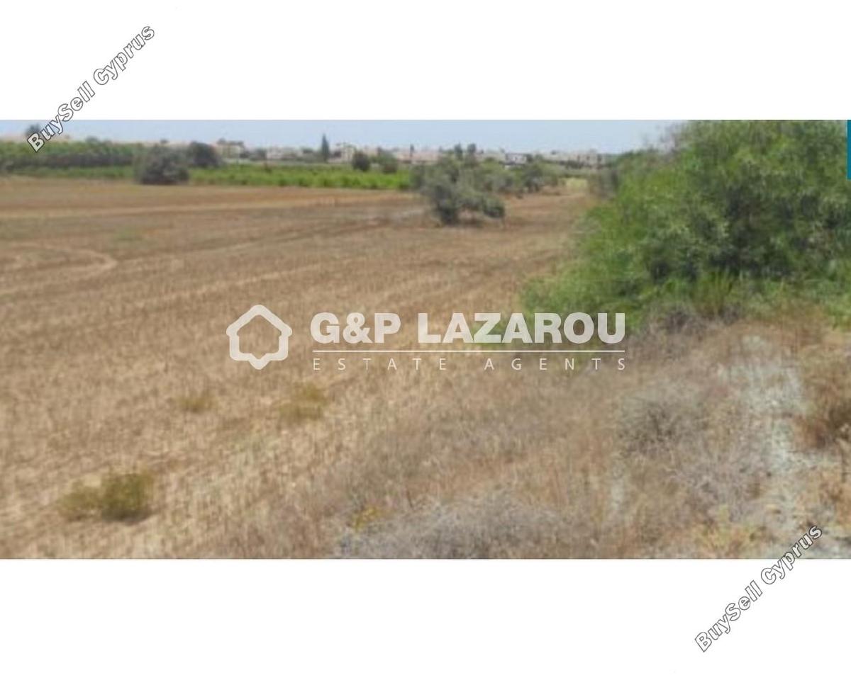 land for sale mazotos larnaca 1688201 image 14152486