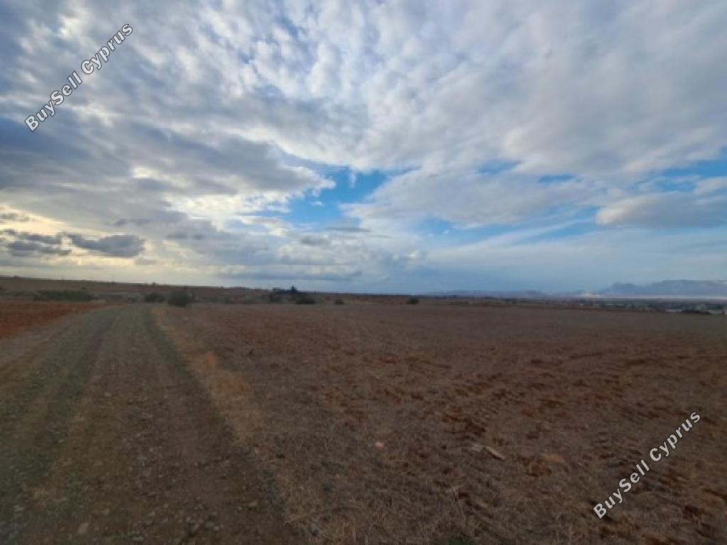 land for sale palaiometocho nicosia 8562201 image 15594384