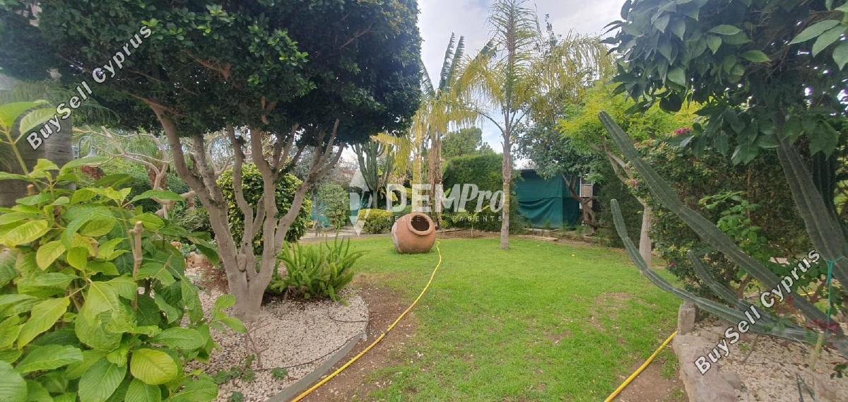 4 bedroom detached house for rent mesogi paphos 8180301 image 13737661