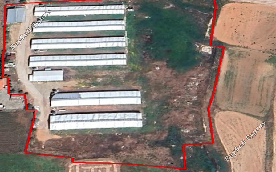 land for sale agioi trimithias nicosia 1769301 image 16159592
