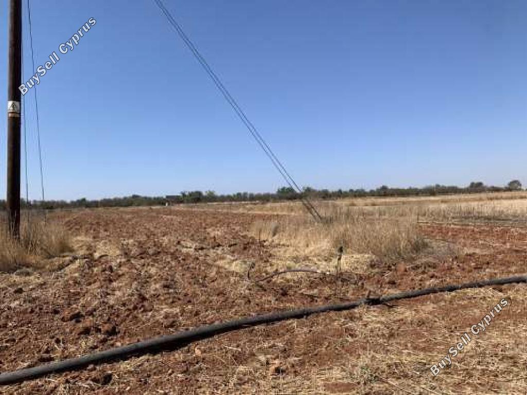 land for sale frenaros famagusta 1336301 image 15599629