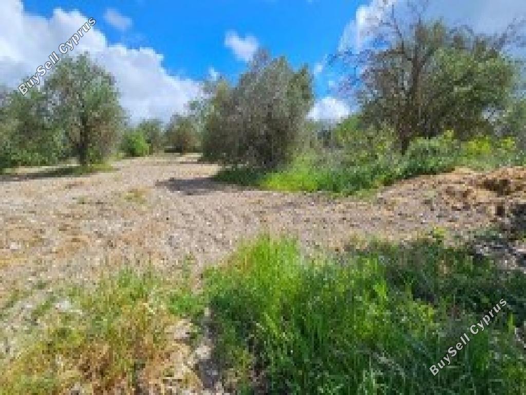 2142 SQM Land for sale in Drynia, Paphos 15596562