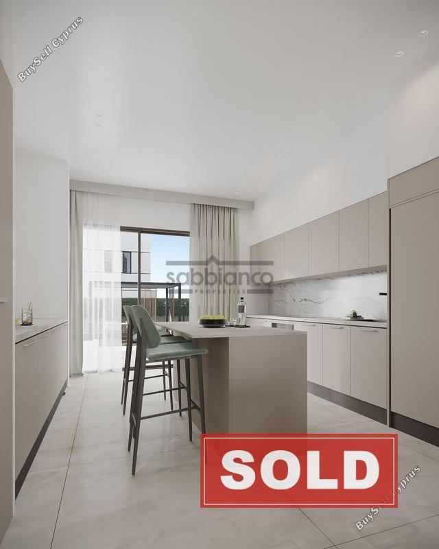 3 bedroom detached house sold ypsonas limassol 8741401 image 16391839
